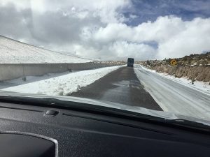 rutaaleretaweb