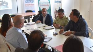 Gobernadorseguridad